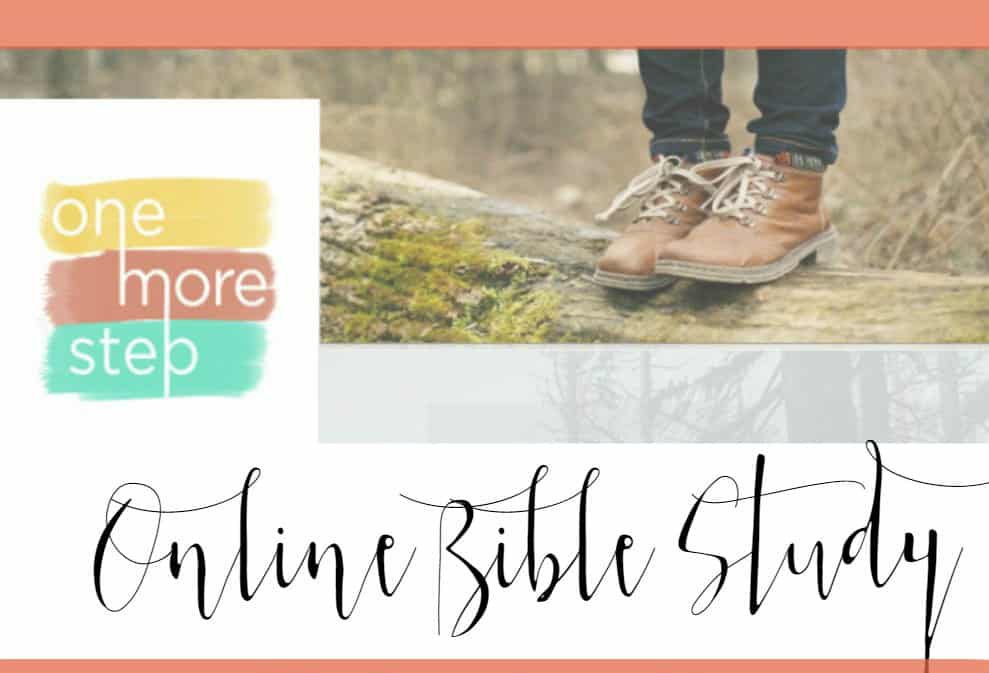 One more step fall online bible study rachelwojo