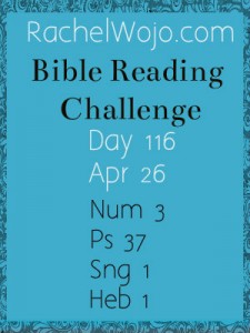 Free Printables and A Bible Reading Challenge Video - Rachel Wojo