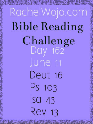 bible reading challenge