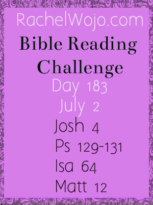 bible reading challenge day 183