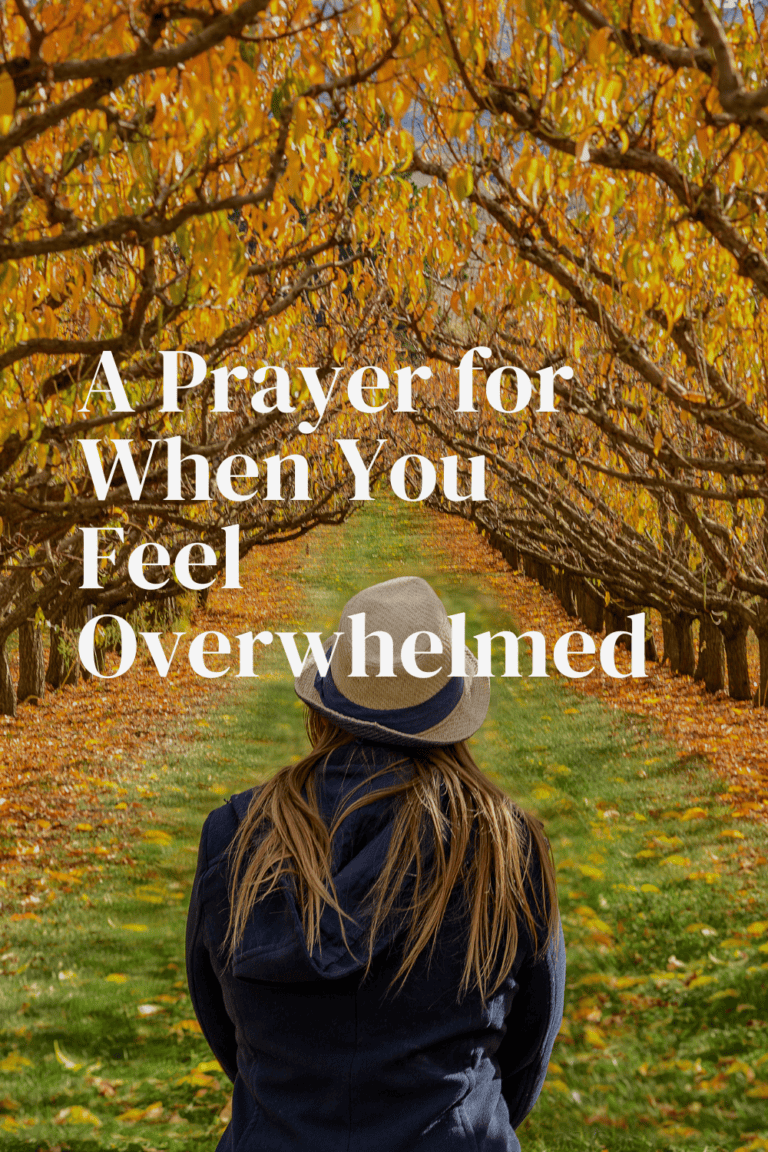 A Prayer for When You Feel Overwhelmed