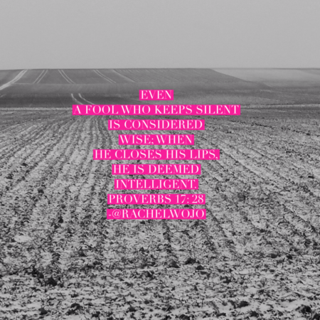 Proverbs 13-20 Bible Reading Challenge Summary - Rachel Wojo