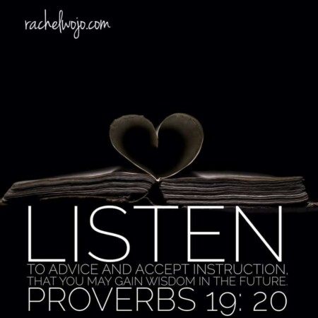 Proverbs 13-20 Bible Reading Challenge Summary - Rachel Wojo