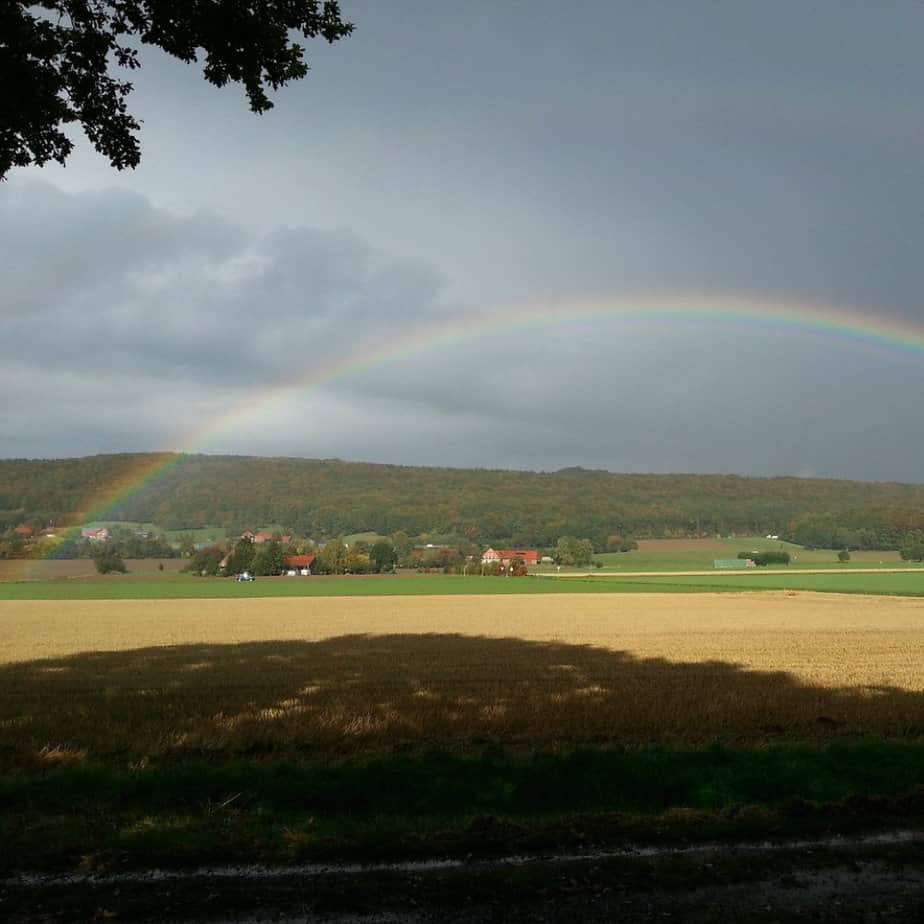 What Happens When You Hide from the Storms