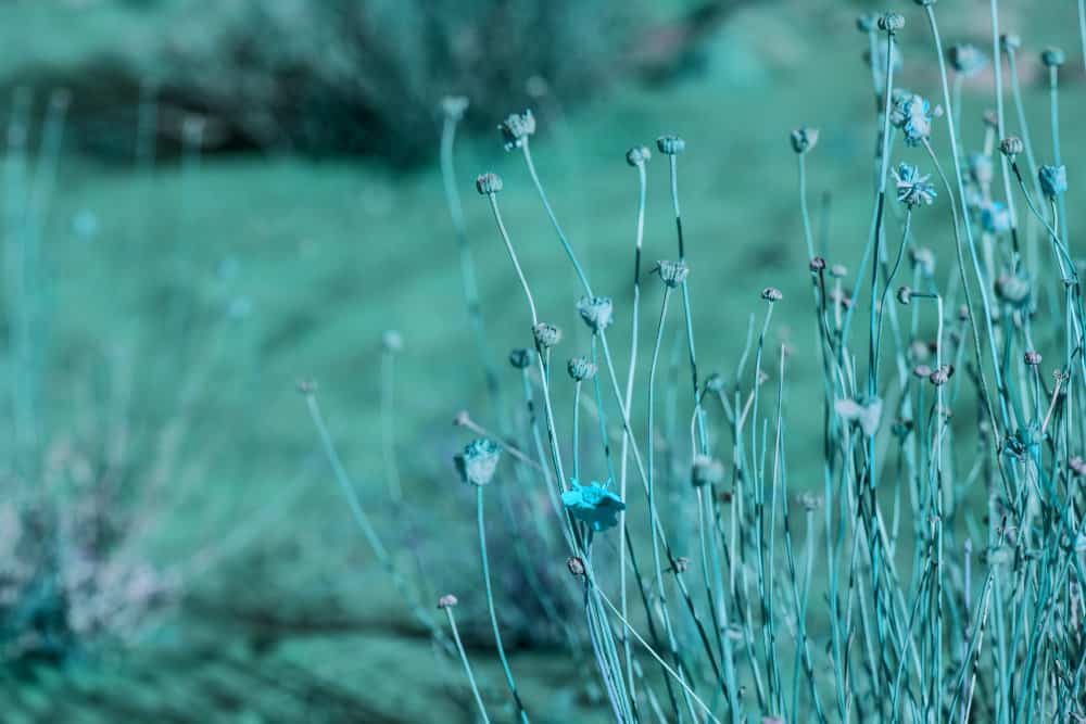 worry verses about over faith bible Over Week 1 Summary Reading Worry Bible Winning worry verses about over faith bible Over Week 1 Summary Reading Worry Bible Winning