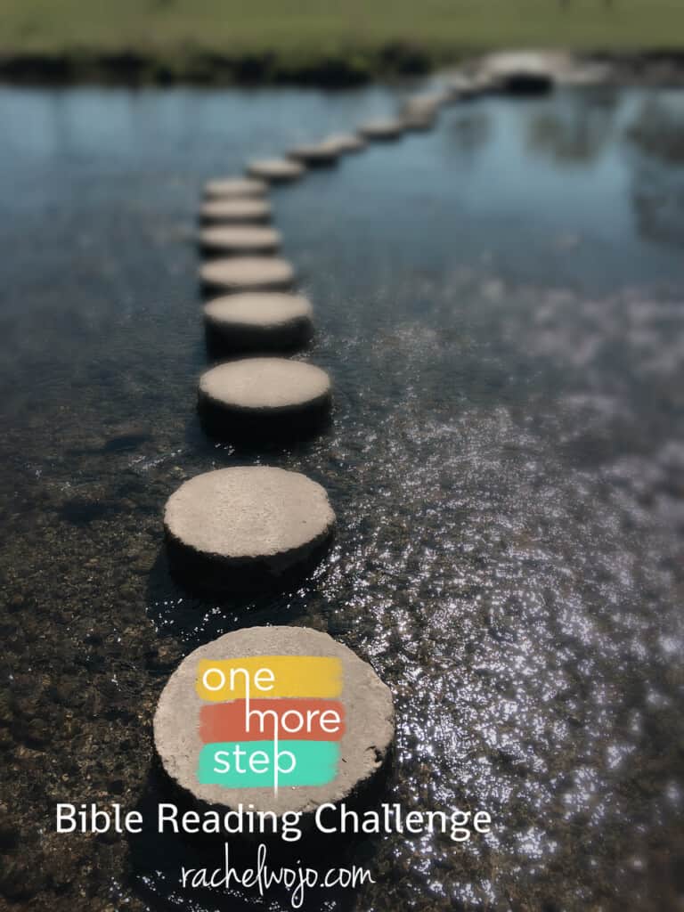 When discouragement strikes and depression hovers, God's Word will provide the strength to keep going if we will run to it. That's exactly what we are going to do in this month's One More Step Bible reading challenge!! Ready to join in? #onemorestep