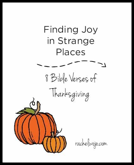 I've discovered that finding joy in strange places is not a NEW concept. In fact, since the fall of man, humanity has worked at seeking happiness. Only we haven't gotten very good at it. We have a tendency to look in the wrong places for joy. Print out these 8 Bible verses or save them to a digital album on your smartphone for a fabulous reminder of true joy and contentment. #onemorestep