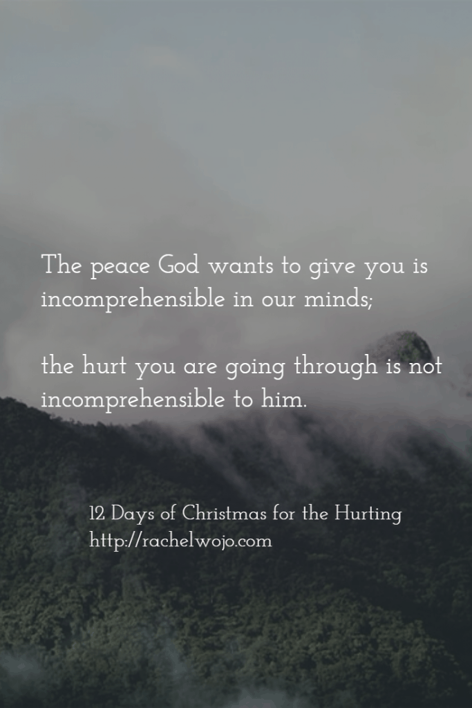 12 Days of Christmas for the Hurting is a devotional ebook available for FREE for a limited time!! 