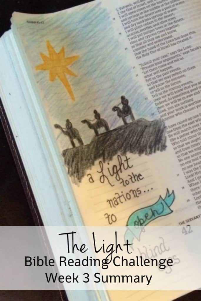 Welcome to the Light Bible reading challenge summary week 3!