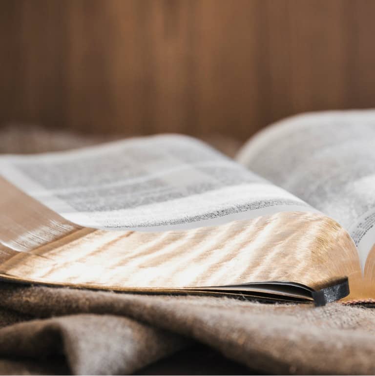 9 Topical Bible Reading Plans You’ll Love