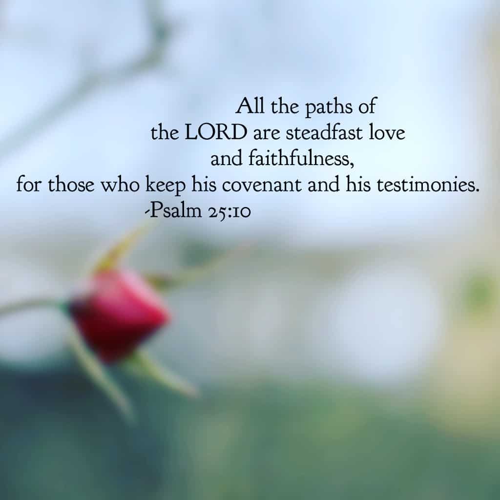 His path is love because he is love. As we enjoy this day, may we know the #truelove and walk his path. As my pastor mentioned this morning, actions trump words when it comes to love. Let me encourage you to say it like you mean it and then do something to show it today!#truelove #biblereading
