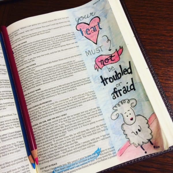 No Fear Bible Reading Challenge Summary Week 1 - Rachel Wojo