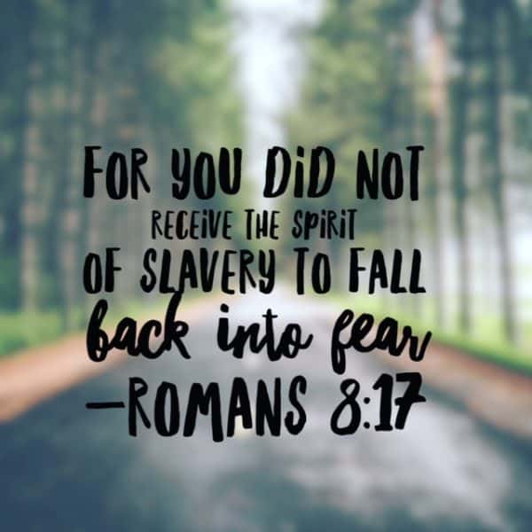 No Fear Bible Reading Challenge Week 4 Summary - RachelWojo.com