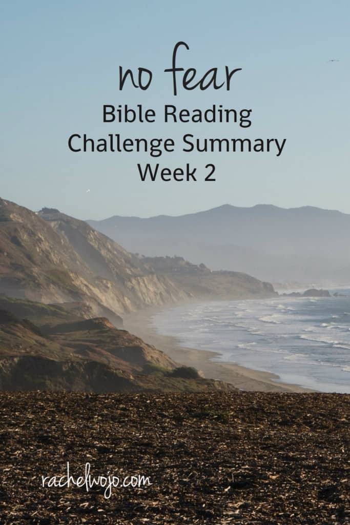 What an incredible week of reading this has been! Thanks for joining me in this month's Bible reading challenge! I'm going to share what I learned during this No Fear Bible Reading Challenge Week 2 Summary and I'd love for you to do the same in the comments at the end. Let's go...