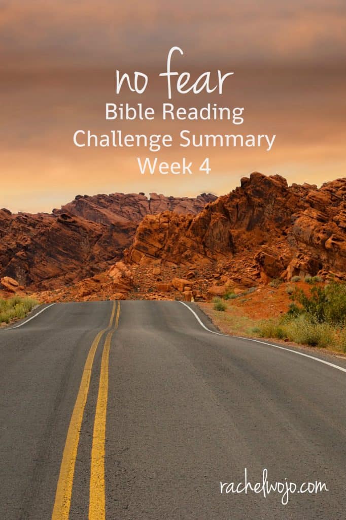 Welcome to the No Fear Bible Reading Challenge Week 4 Summary! I've had such wonderful feedback from you regarding this Bible reading plan. I've really gotten so much from it too. Let's take a glance back at what we read and studied this week!
