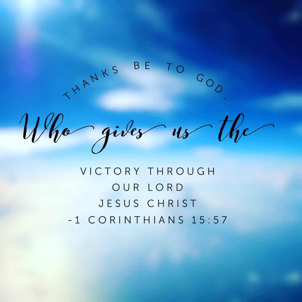 It's easy to get worn down in this world. So many heartache sand burdens. So much sin. So many consequences of sin. But our labor is not in vain! The victory has already been won! Have a thankful Thursday! #confidentinhim#biblereading