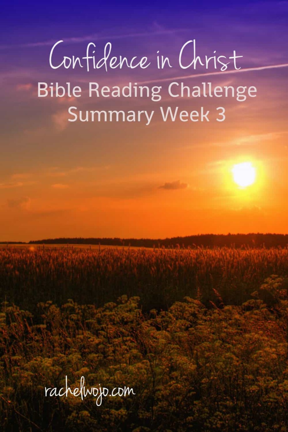 Confident In Christ Bible Reading Summary Week 3 Rachel Wojo