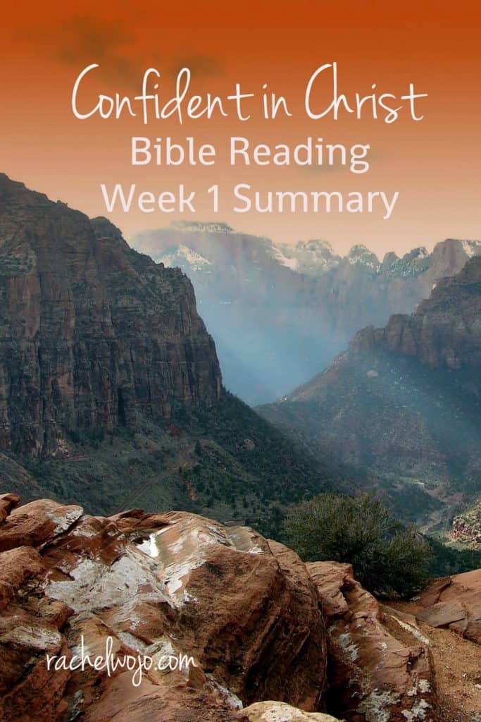 I am enjoying this new Bible reading challenge to the fullest and I'm hoping you are too. Check out the Confident in Him Bible Reading week 1 summary. Ready?