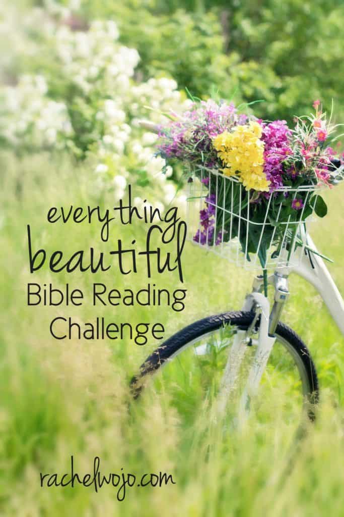 This month's Bible reading challenge is to discover and focus on beauty in God's Word and in our lives. During the Pure Joy Bible reading challenge, I made note on how much getting outdoors in God's creation reminds me of joy. Whether indoors or out, let's find beauty "in its time" right where we are. You ready to join me for the Everything Beautiful Bible reading challenge?