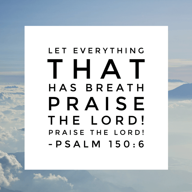 And so we have arrived at the final day of the #praisehimanyway#biblereading challenge! It has been so good for me personally. What a reset in my thought and prayer life! May praise continue to be on our lips and in our hearts for our God is worthy of all the praise, honor, and glory.