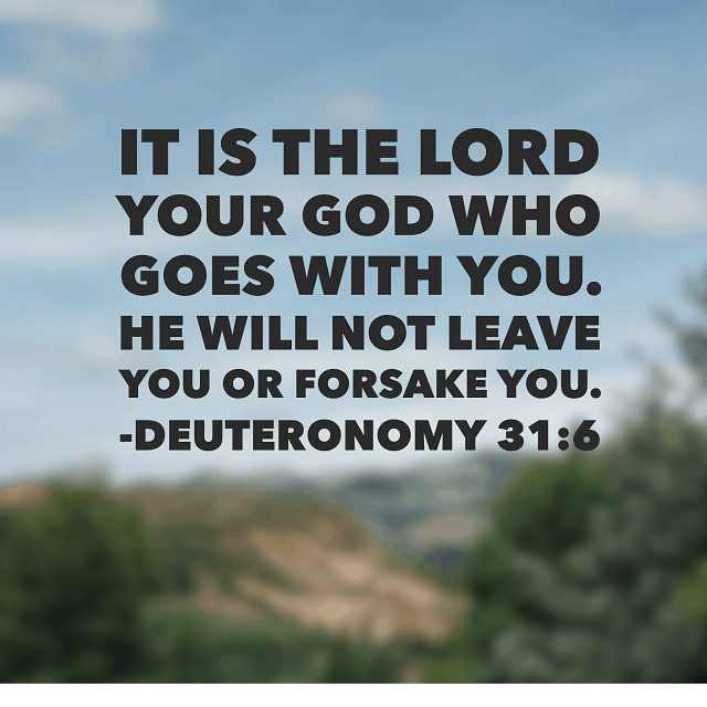 He will never leave you or forsake you! So very thankful for this promise today! #neveralone #biblereading