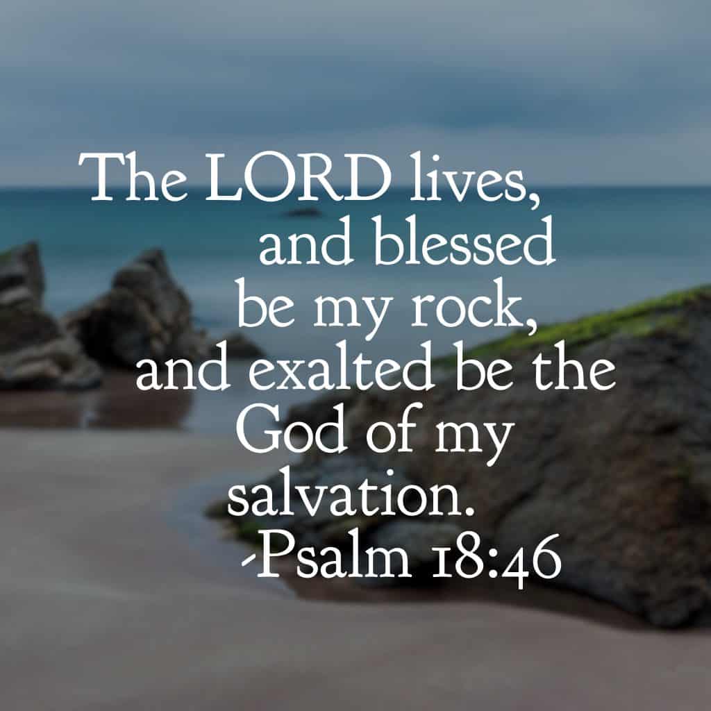 He lives and he never changes. Blessed be the Rock of my salvation and my sustenance! #ourGodtheRock#biblereading