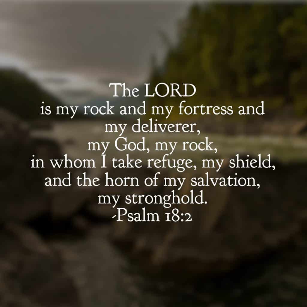 I love you, O Lord, my strength. Psalm 18 is one of my very favorites. This month's #biblereading on #ourGodtheRock is so timely. We cannot place our trust in things or we are distracted. We cannot place our trust in people; we will be disappointed. We cannot place our trust in ourselves; we will become devastated. Our trust can be placed in Christ and Christ alone. Our God the Rock! Happy Monday! #onemorestep