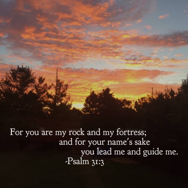 I'm so thankful for the mighty fortress of our God!! He never fails and always stands firm, for his glory is above all. He leads and guides with mercy and grace. It's a great day to read and cherish the#ourGodtheRock #biblereading plan!