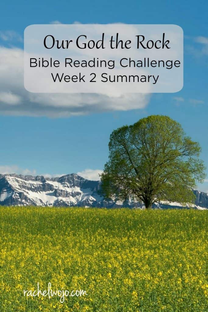 It's Friday and yes, I must be getting old! Every week I marvel at how quickly the time is passing. We're almost halfway through this reading plan already. Check out the Our God the Rock Bible reading summary week 2! (Posting a little later than Friday! :))