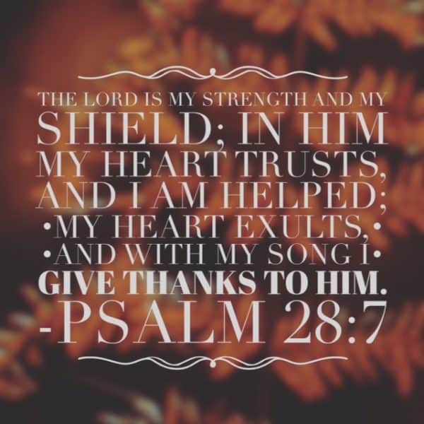 With Thanksgiving Bible Reading Summary Week 4 ...