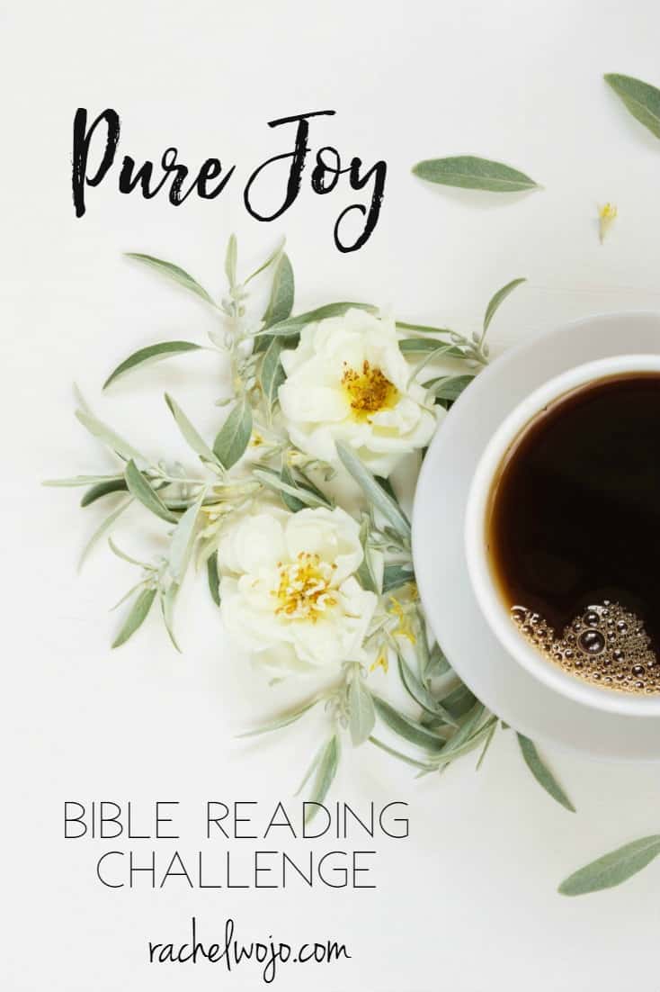 Pure Joy Bible Reading Plan and Challenge