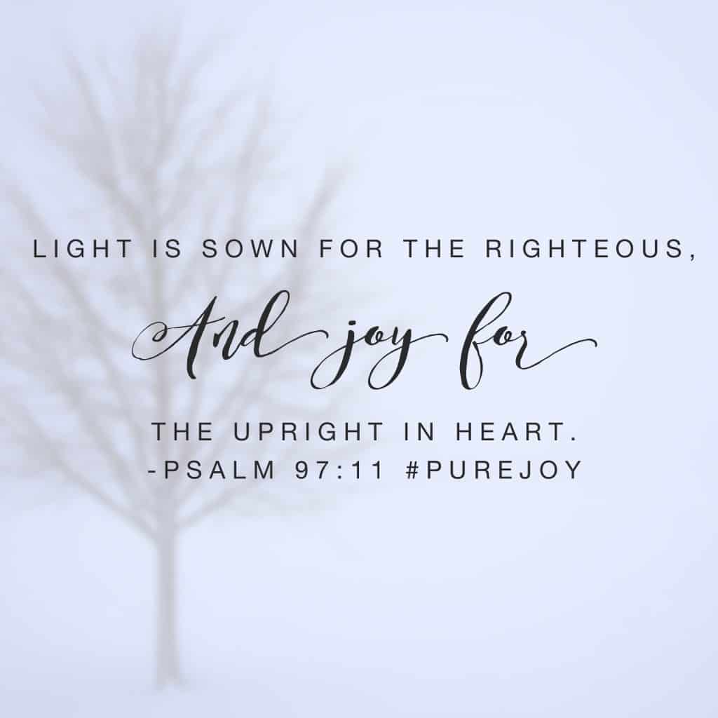 Our Father preserves and delivers. He gives light and we can rejoice! With gray skies here in Columbus, I'm happy to say I have sunshine in my heart! Have a terrific Tuesday! #purejoy#biblereadingplan #journaling