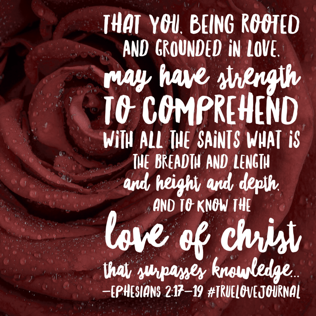 I cannot wrap my head around why Jesus would love me. I cannot fully grasp the depth of his love for me. But since I know that his love is bigger than I can comprehend, I can experience the foundation of his love for my entire life. May your Thursday be rooted and grounded in love! ❤️#truelovejournal #biblereadingplan#biblereading