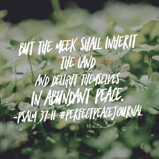 The meek. Humility and meekness always ushers in peace. Oh if I could always remember this! Happy Friday. #perfectpeacejournal #biblereadingplan#biblereading