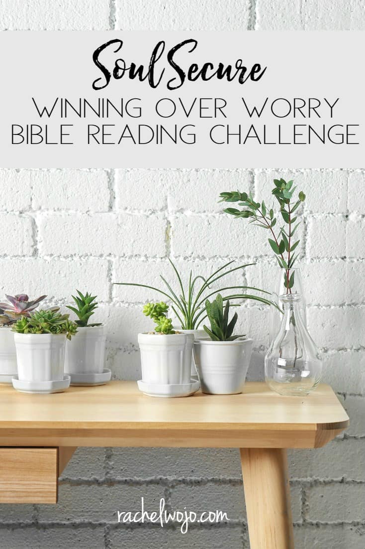 Soul Secure: Winning Over Worry Bible Reading Plan & Journal Challenge