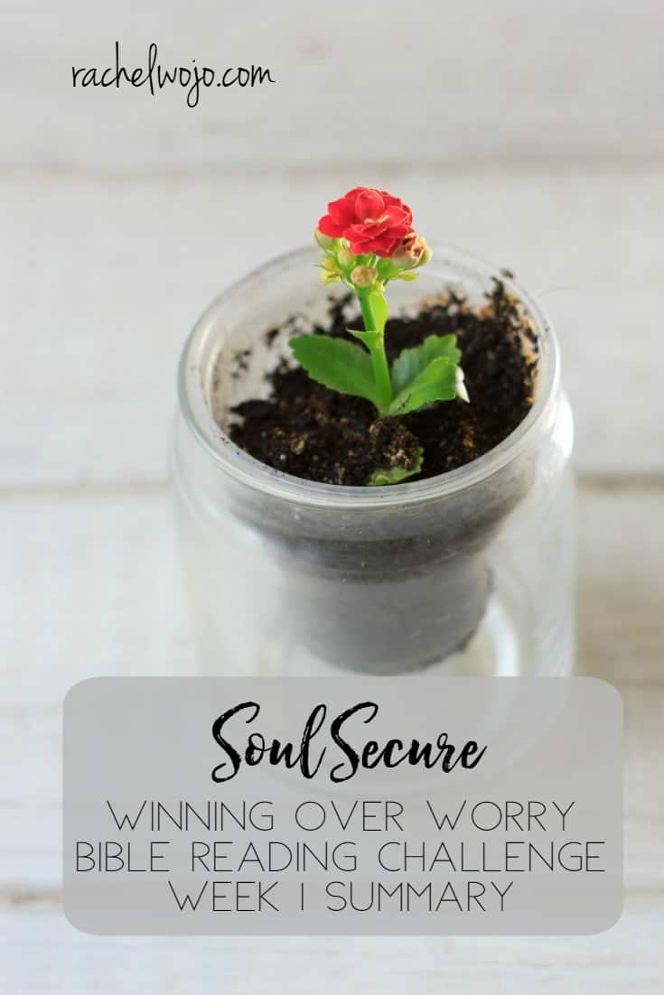Soul Secure: Winning Over Worry Bible Reading Summary Week 1