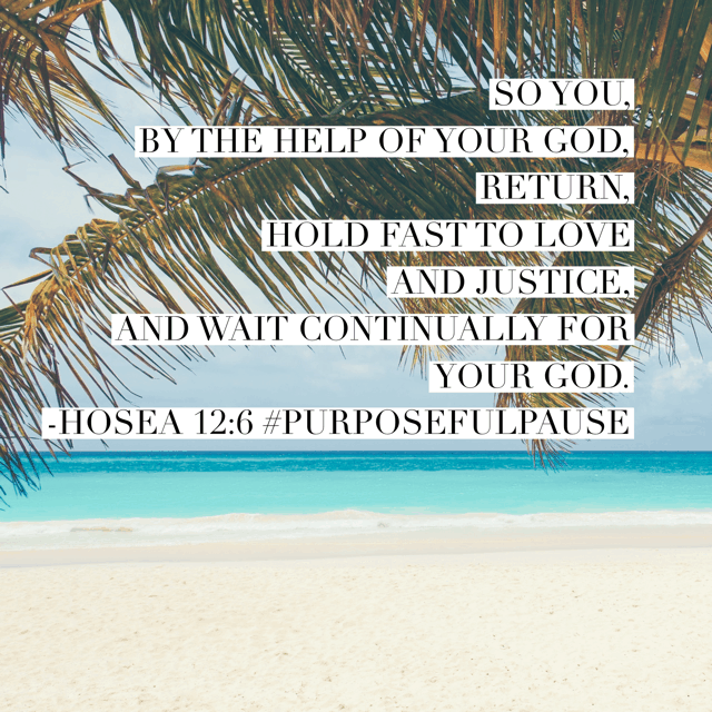 "Wait continually for your God." I believe the prophet extends an invitation to even us on this Friday in 2017. Hang on and just wait and see what your God longs to do! Happy Friday! #purposefulpause#biblereadingplan #waitingonGod#biblereading