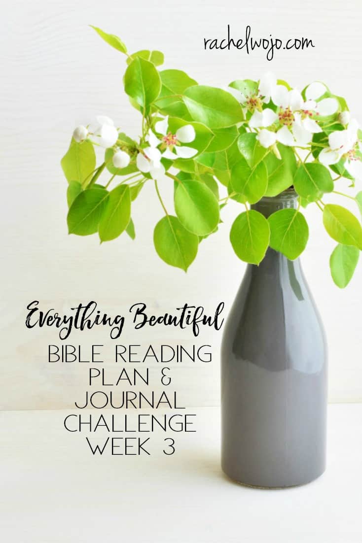 Everything Beautiful Bible Reading Challenge Week 3 Summary
