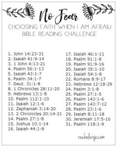 No Fear Bible Reading Plan and Journal Challenge - Rachel Wojo