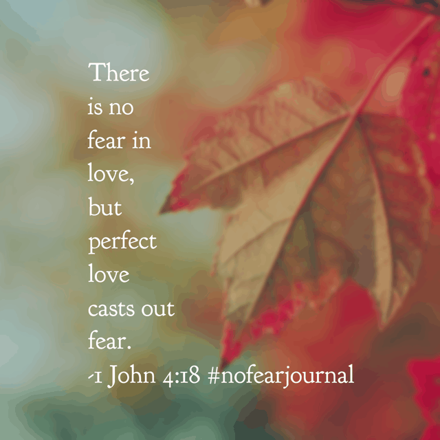 Because perfect love casts out fear! #nofear #nofearjournal #biblereading #biblereadingplan Day 3- join in anytime!