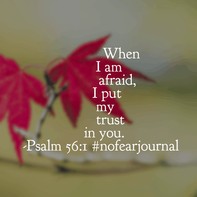 Choosing to trust God in the face of fear requires fortitude. But our God is worthy of our trust! Have a wonderful Wednesday believing it! #nofear #nofearjournal #biblereadingplan #biblereading
