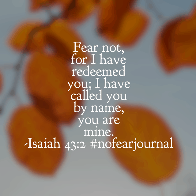 Jesus conquered death itself with his perfect love; even your worst fear is no match for his love! #nofear #nofearjournal #biblereading #biblereadingplan