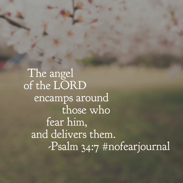 You have the protection of angels when your heart is reverent toward your God. That is how much he loves you! He answers. He delivers. He hears. He saves. There is no need to fear; your God is near!! #nofear #nofearjournal #biblereading #biblereadingplan Day 6