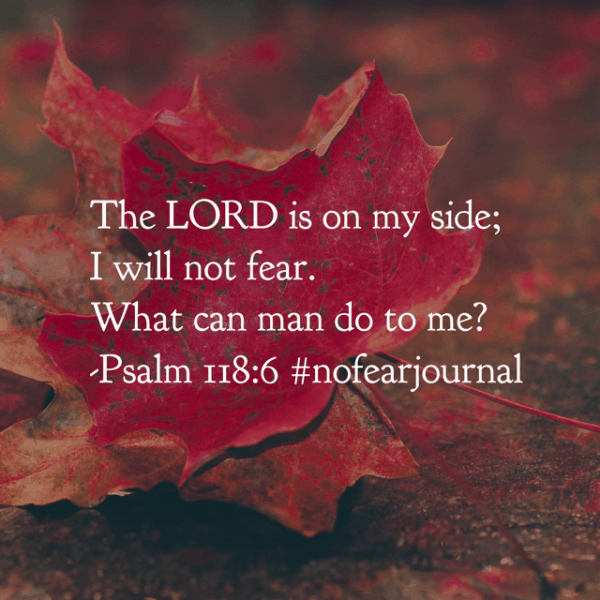 No Fear Bible Reading Challenge Week 4 Summary - Rachel Wojo