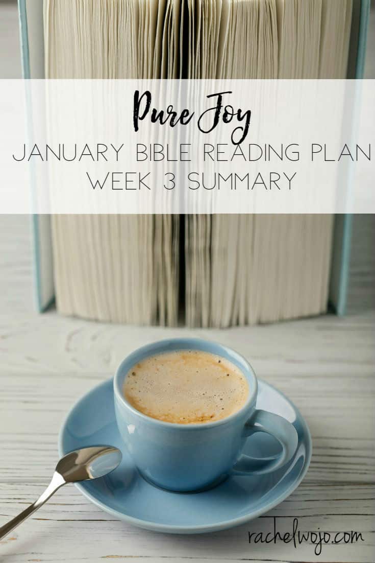 January 2018 Bible Reading Week 3 Summary