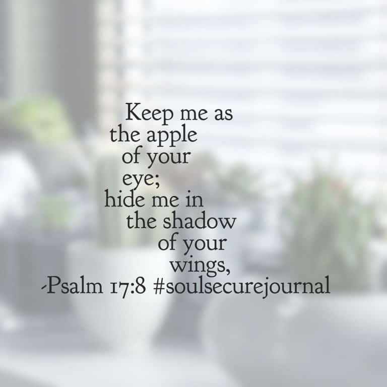 Soul Secure Bible Reading Plan Week 2 Summary Rachel Wojo