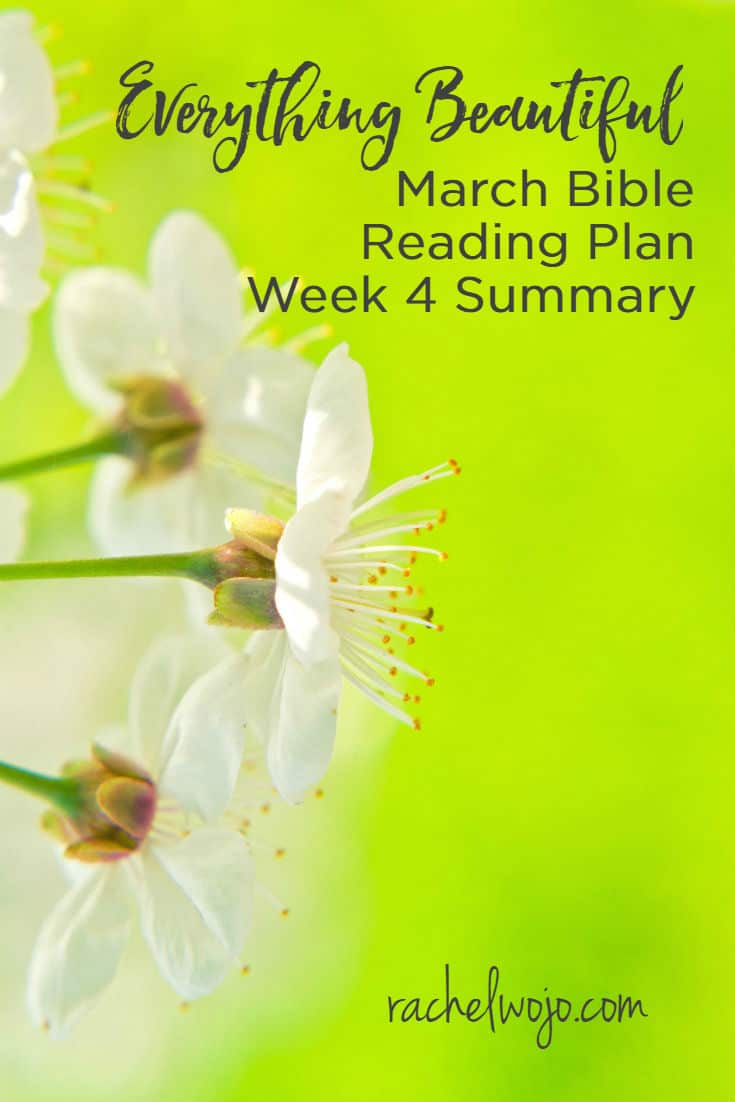Everything Beautiful Bible Reading Plan Summary Week 4