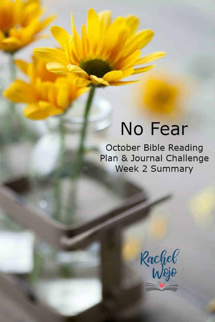 No Fear Bible Reading Plan and Journal Week 2 Summary