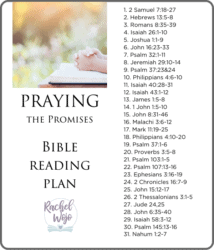 Praying the Promises Bible Reading Plan and Journal - RachelWojo.com