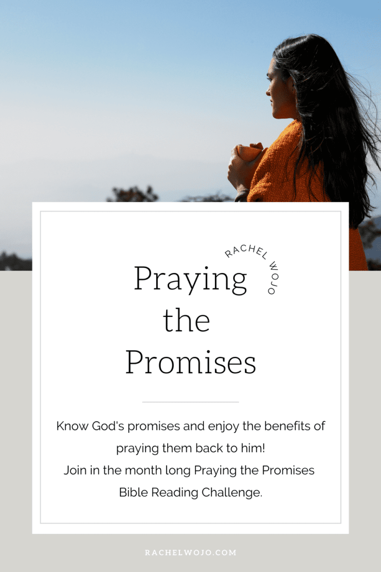 Praying the Promises Bible Reading Plan and Journal